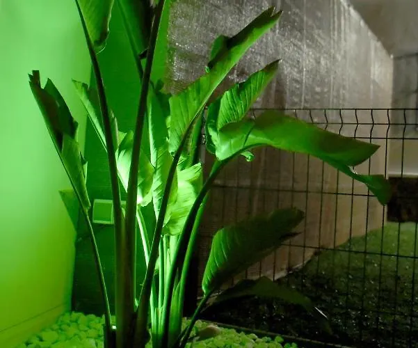 Casa Manria En Conil Con Piscina, Hasta 6 Personas *